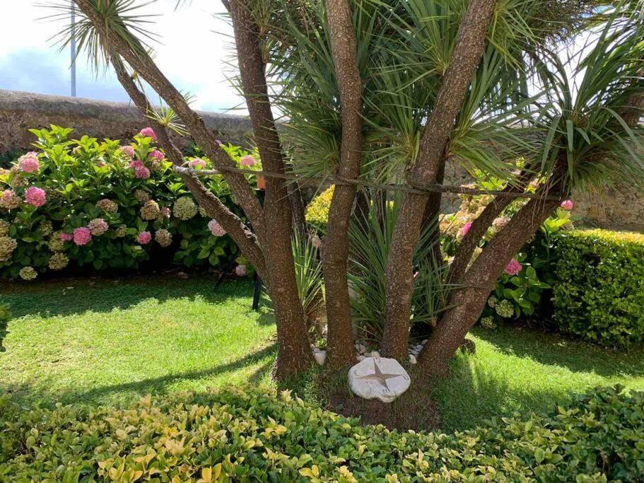 סנטנדר Apartamento Con Jardin מראה חיצוני תמונה
