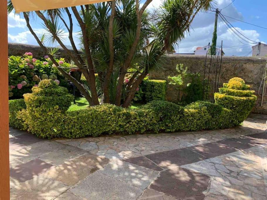 סנטנדר Apartamento Con Jardin מראה חיצוני תמונה